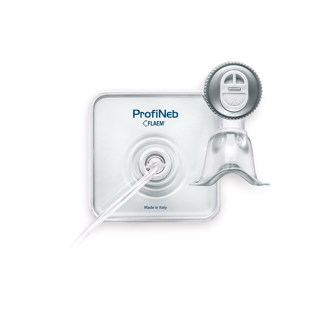 ProfiNeb aeorosl pneumatico portatile 12V